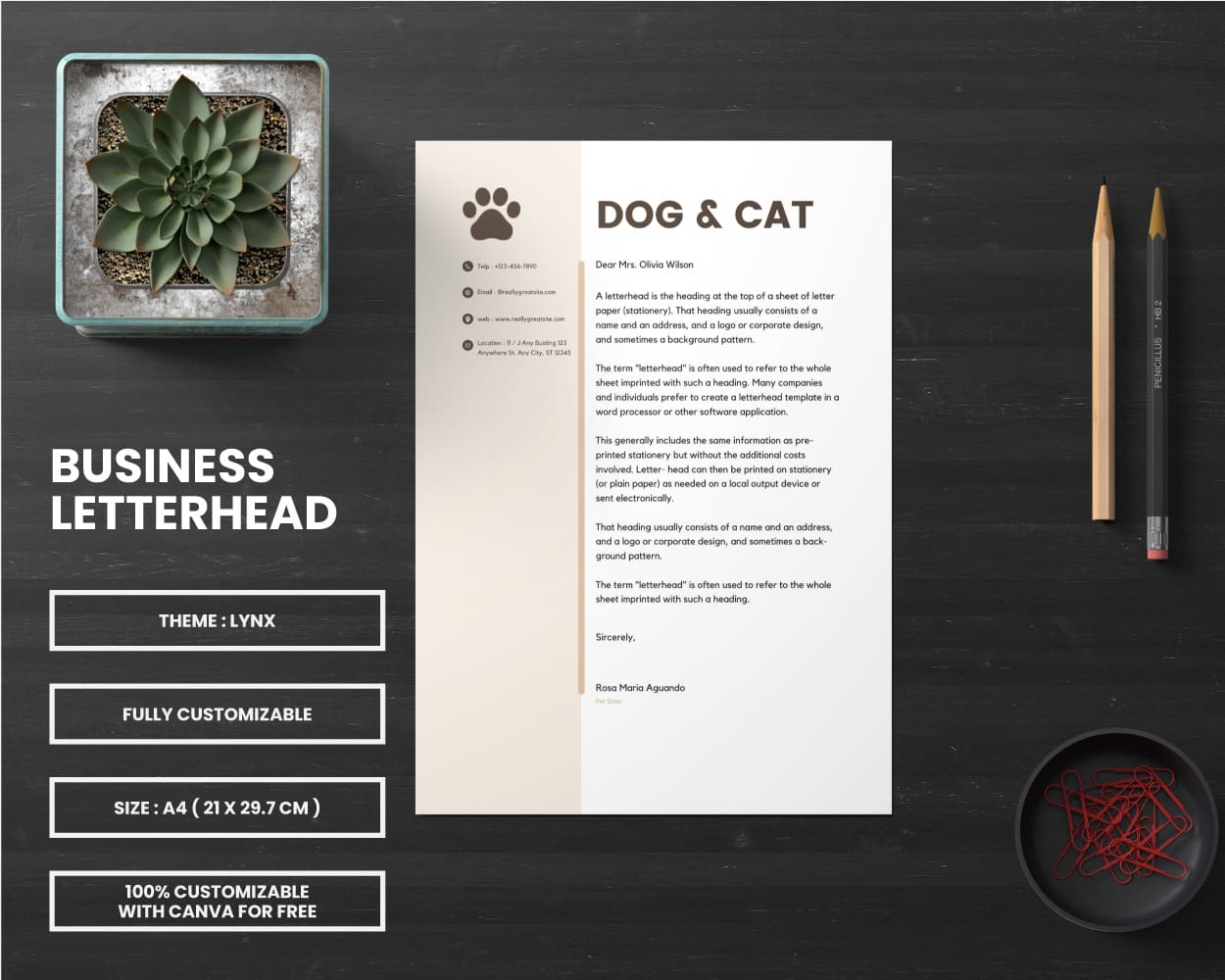 canva letterhead template for pet business